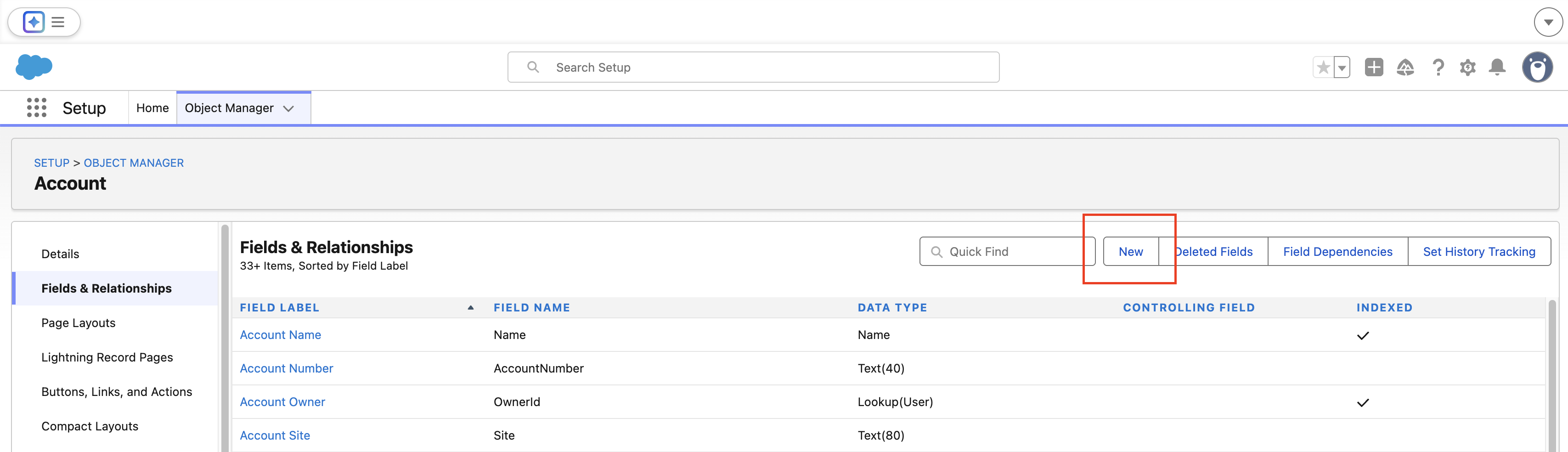 Fields and Relationships New button in Salesforce